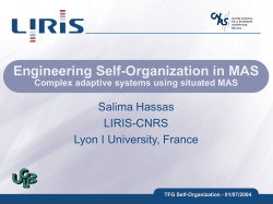 self-organization