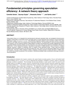 Fundamental principles governing sporulation efficiency: A