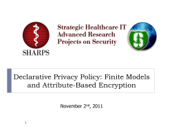 Chan-DeclarativePrivacyPolicy