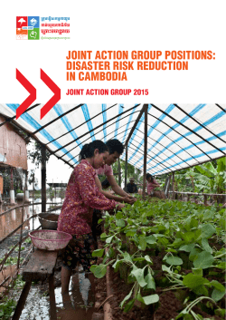 joint action group positions: disaster risk