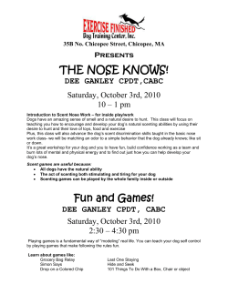 the nose knows - Exercise Finished