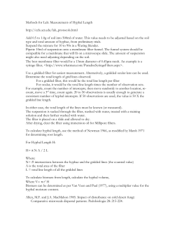 Measurement of Hyphal Length