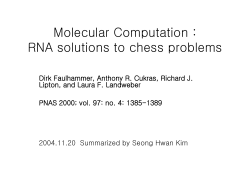 Molecular Computation : RNA solutions to chess problems