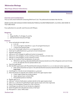 MiniPreps - Zachara Lab