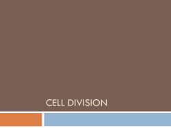 Cell division