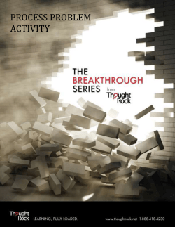 Problem Process RACI Chart