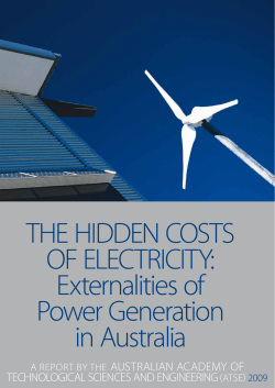 THE HIDDEN COSTS OF ELECTRICITy: Externalities of Power