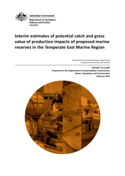 Interim Estimates of Potential Catch and Gross Value of Production