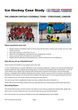 Ice Hockey Case Study