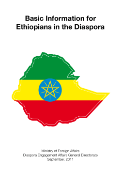 Basic Information for Ethiopians in the Diaspora