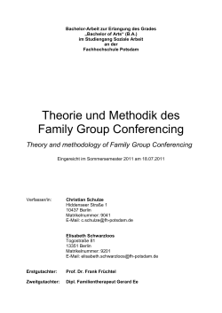 Theorie und Methodik des Family Group