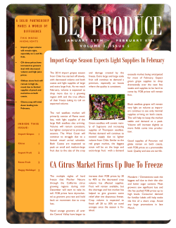CA Citrus Market Firms Up Due To Freeze