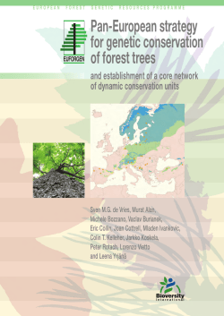 Pan-European strategy for genetic conservation of forest