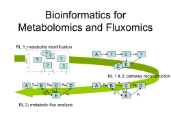 Bioinformatics for Metabolomics and Fluxomics