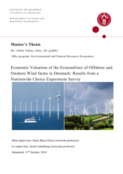 Master`s Thesis Economic Valuation of the Externalities