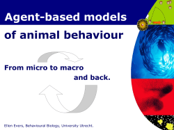 Agent-based models of animal behaviour