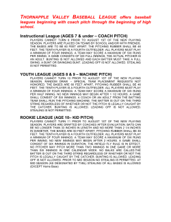 THORNAPPLE VALLEY BASEBALL LEAGUE offers baseball