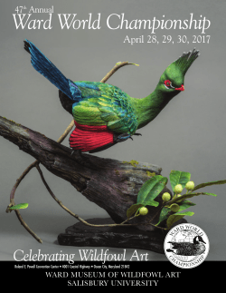 Ward World Championship - Ward Museum of Wildfowl Art