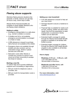 Fleeing abuse supports Fact Sheet