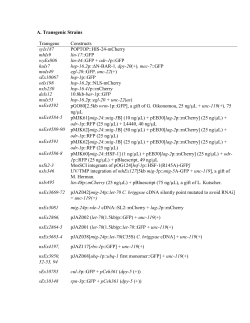Supplementary file 2..