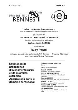 Rare event probability and extreme quantile estimation. Application