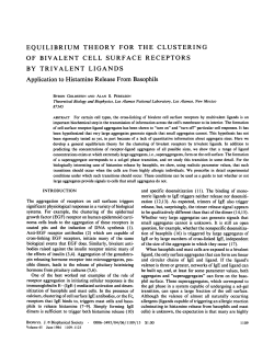 EQUILIBRIUM THEORY FOR THE CLUSTERING BY
