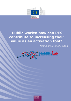 Public works: how can PES contribute to increasing their value as an