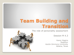 Team Building and Transition