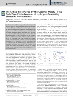 The Critical Role Played by the Catalytic Moiety in the Early‐Time