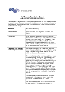 Appendix E &ndash; Individual placement description (Template)
