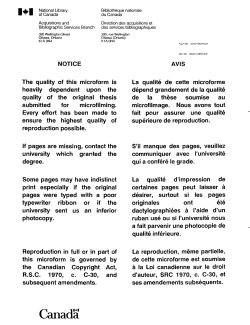 Empathy as a motivator of prosocial behaviour in children / by