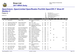 USA Open/CRI 3* Section