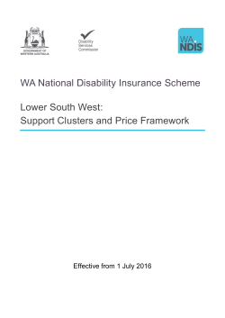 State-wide overview document - Disability Services Commission