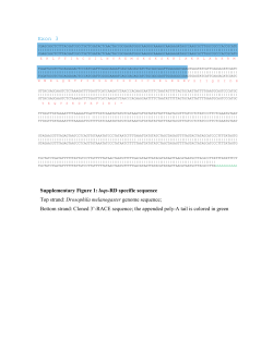 Drosophila endo-siRNAs depend on a specific biogenesis factor