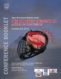 Ice Hockey Summit