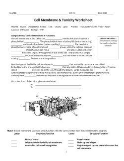 Cell Membrane, Transport and Tonicity Worksheets