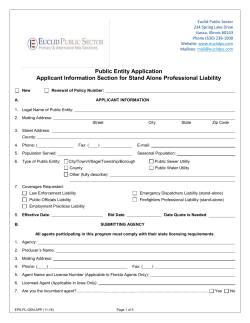 public entity application applicant information section