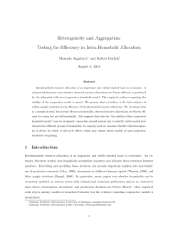 Heterogeneity and Aggregation: Testing for Efficiency in