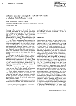 Endurance Exercise Training in the Fast and Slow