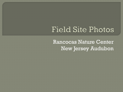 Rancocas Nature Center Field Sites