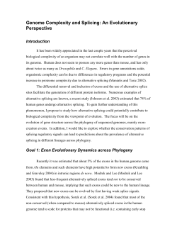 bp205Example3
