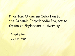 Phylogenetic diversity