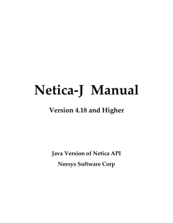 Netica-J Reference Manual