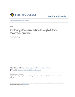 Exploring affirmative action through different theoretical practices