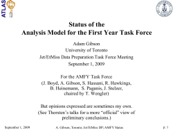 performance/ physics analysis