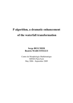 P Algorithm - CMM- Centre de Morphologie Math&eacute;matique