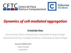Cell-mediated self-assembled 3D scaffolds