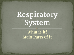 1265923Respiratory System 2016