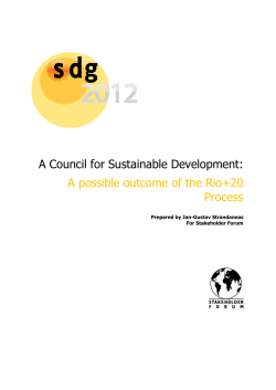 A Council for Sustainable Development: A possible outcome of the