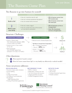 Mowbray Wright business game plan 0613 v10